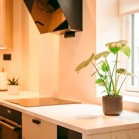 Bergen City Apartment *