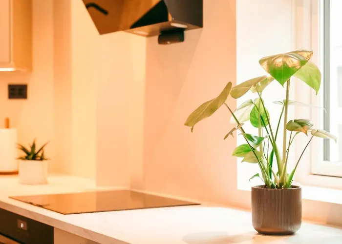 Bergen City Apartment *